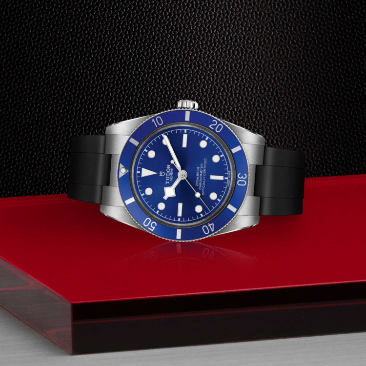 TUDOR Black Bay 54 - Bild 4 