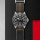 tudor-m25717n-0001_image_0