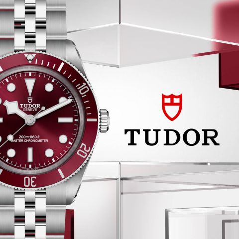 Tudor-banner 4 2025
